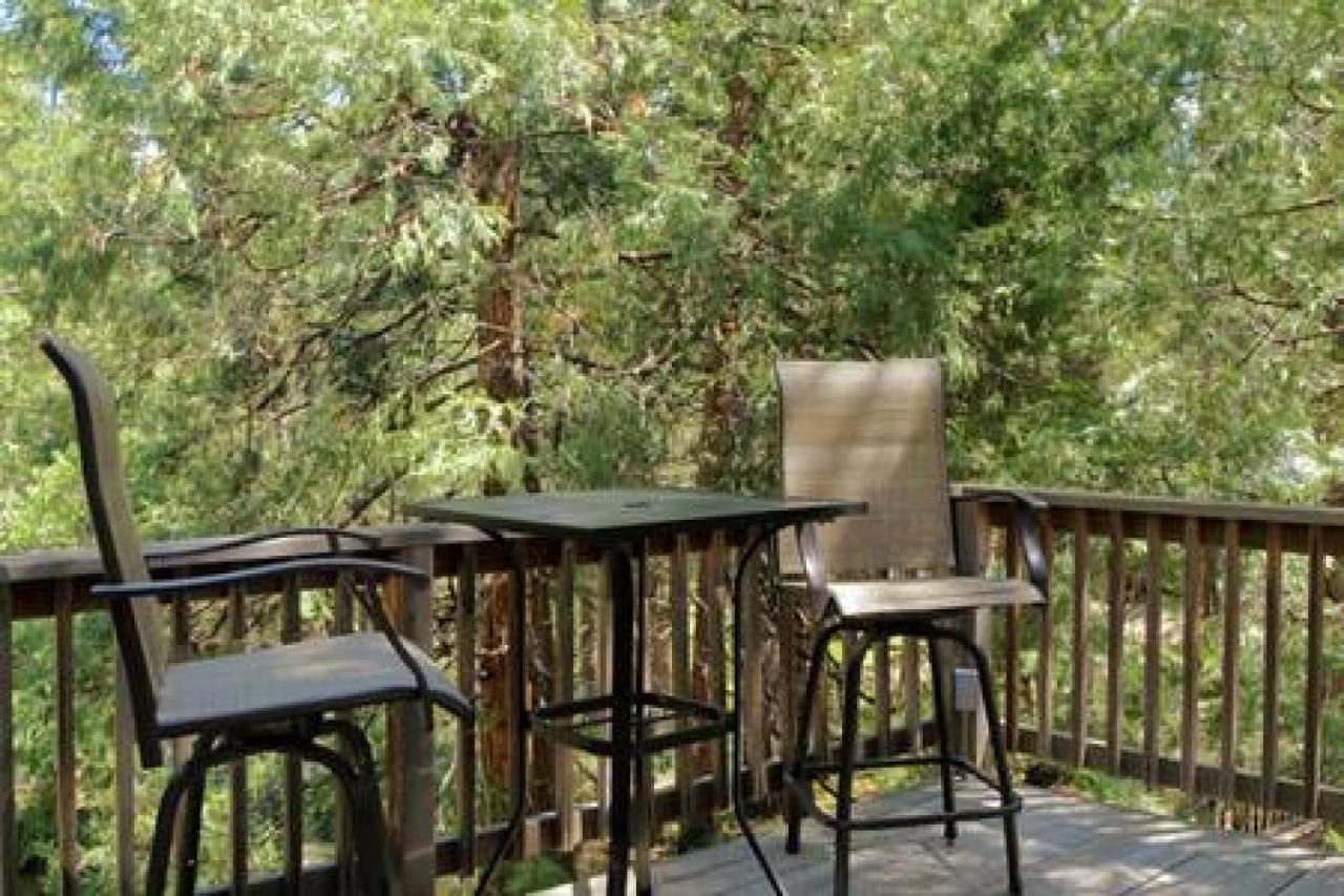 Eagles Nest - Natural Log Cabin With Guest House Idyllwild Exteriér fotografie