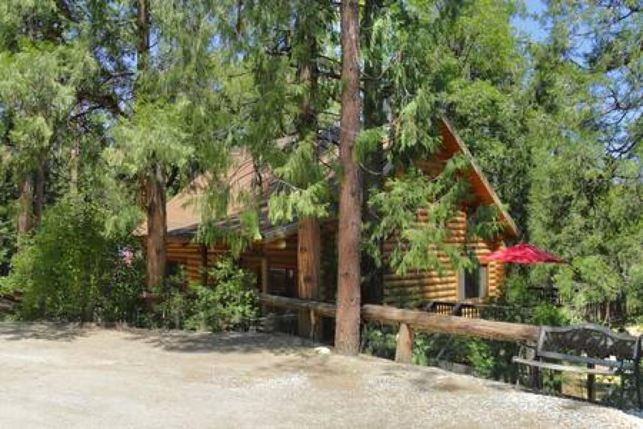 Eagles Nest - Natural Log Cabin With Guest House Idyllwild Exteriér fotografie