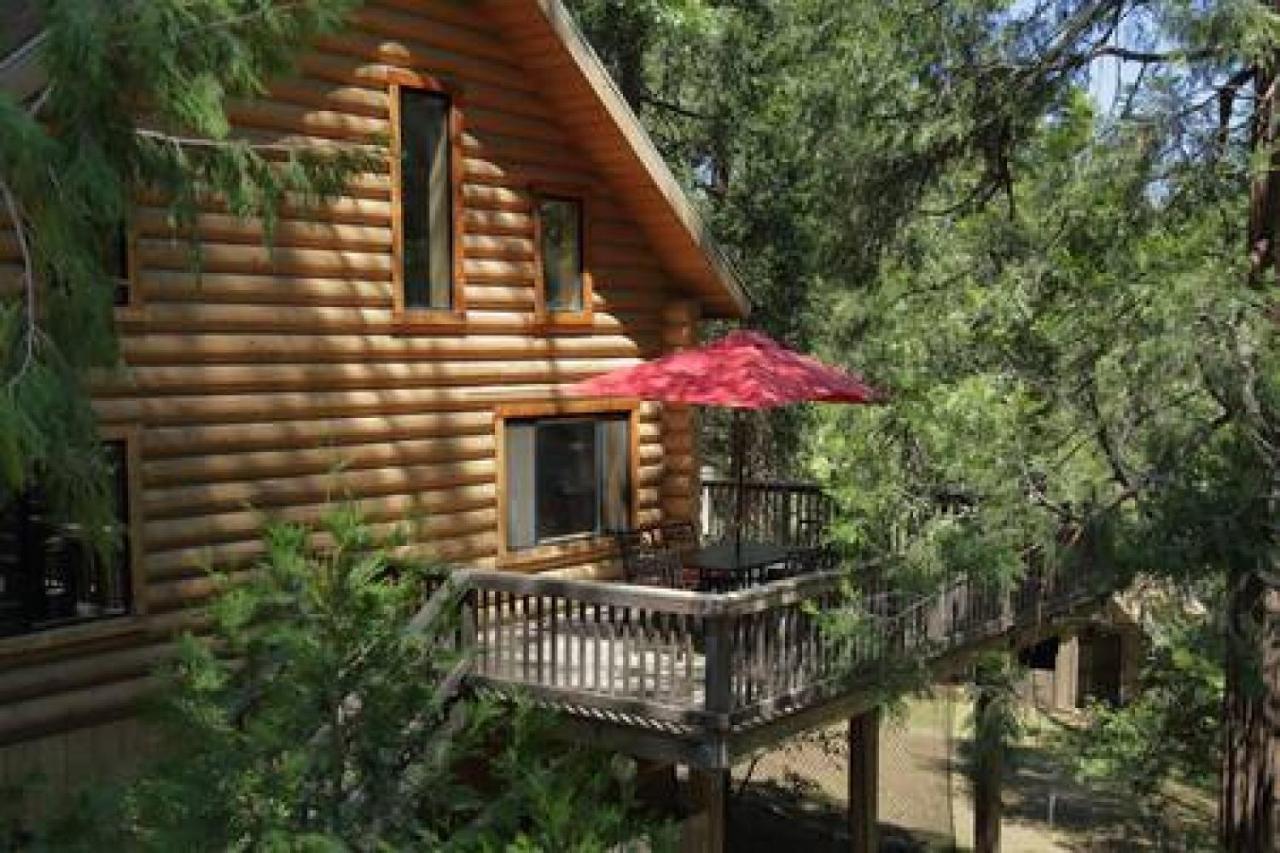 Eagles Nest - Natural Log Cabin With Guest House Idyllwild Exteriér fotografie
